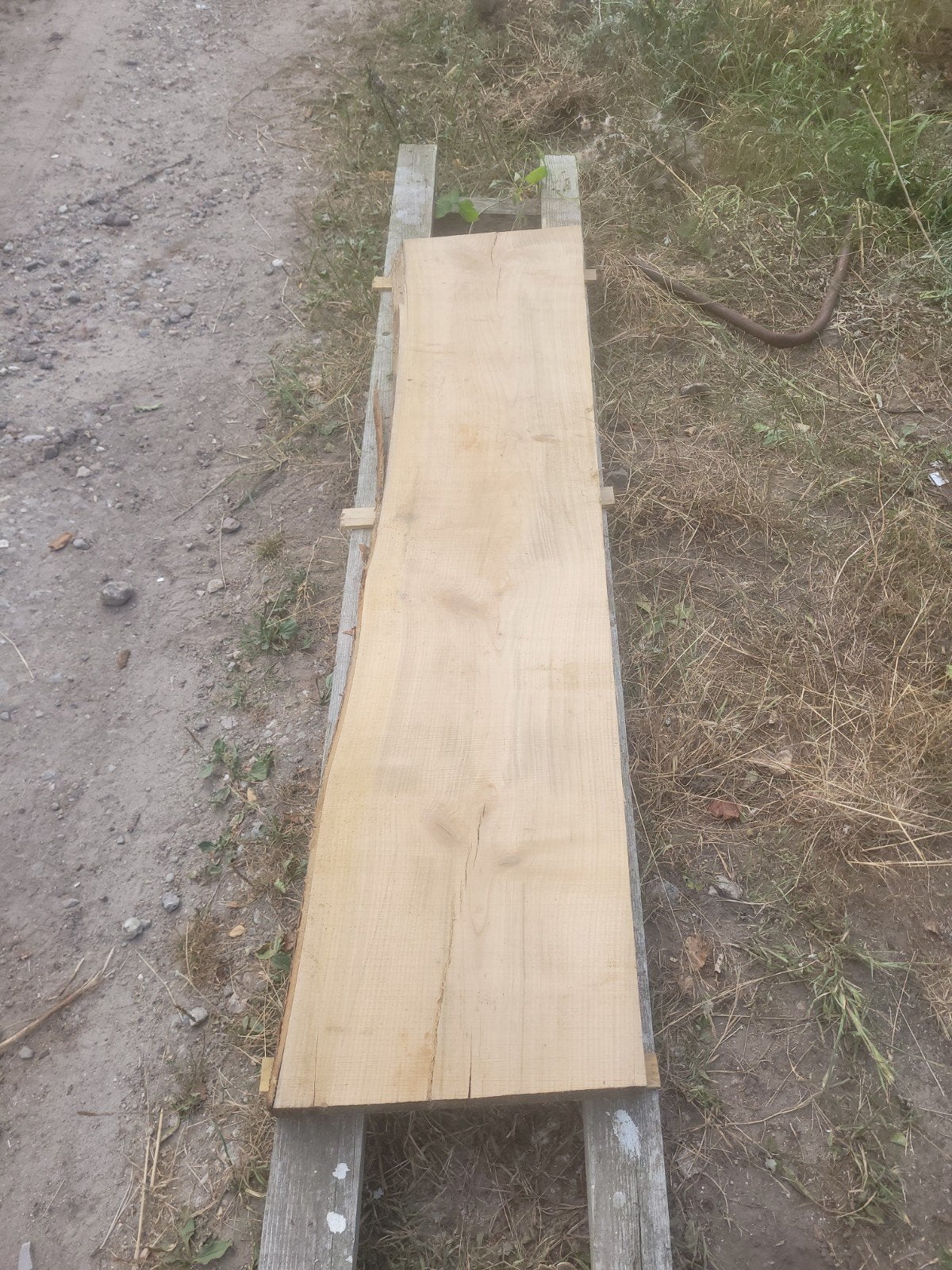 schaaldeel boomplank wandplank KERSENHOUT, Ophalen of Verzenden, Nieuw, 180 tot 250 cm, Planken
