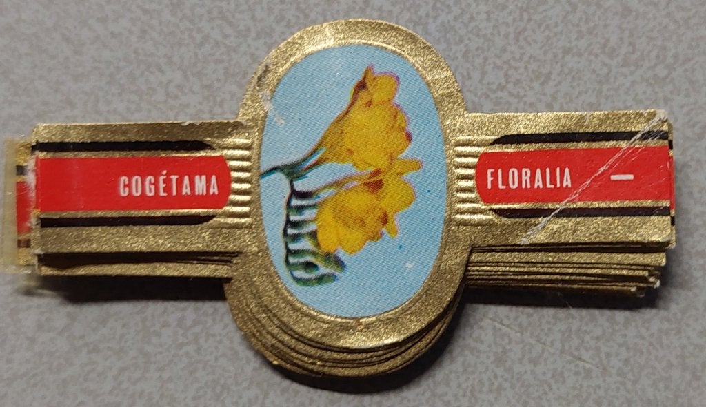 Sigarenbandjes, Ophalen of Verzenden, Gebruikt, Sigarenbandjes