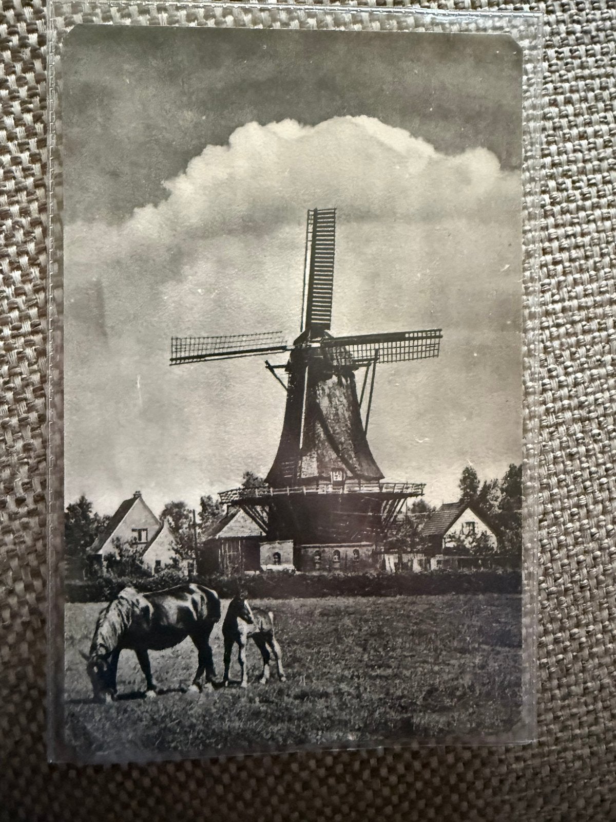 Foto Epse molen koren molen de Hoop, Ophalen of Verzenden, Voor 1940, Gebruikt, Overige onderwerpen