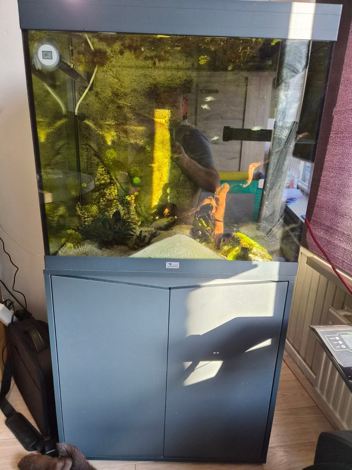 aqualantis aquarium 200L, Ophalen, Leeg aquarium