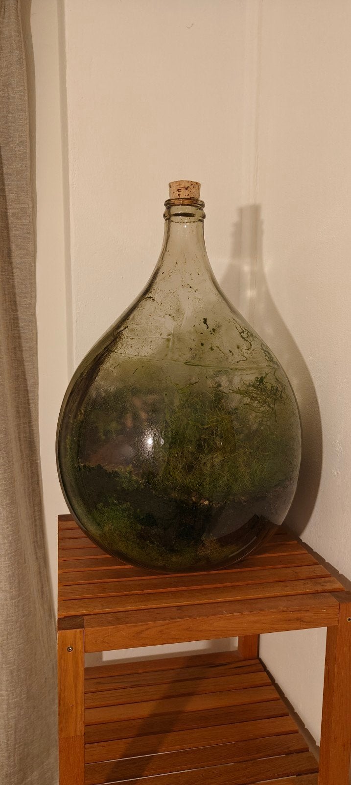 Grote glazen vaas met kurk - Terrarium / Ecosphere, Ophalen, Gebruikt, Inclusief decoratie, Glas