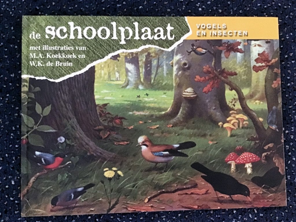 De Schoolplaat Vogels en Insecten, Boeken, Ophalen of Verzenden, Zo goed als nieuw, Prentenboek