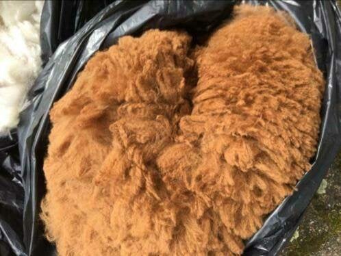 Zachte alpaca wol alpacavachten schering '26 ze zijn er nog, Ophalen of Verzenden, Nieuw, Spinwol