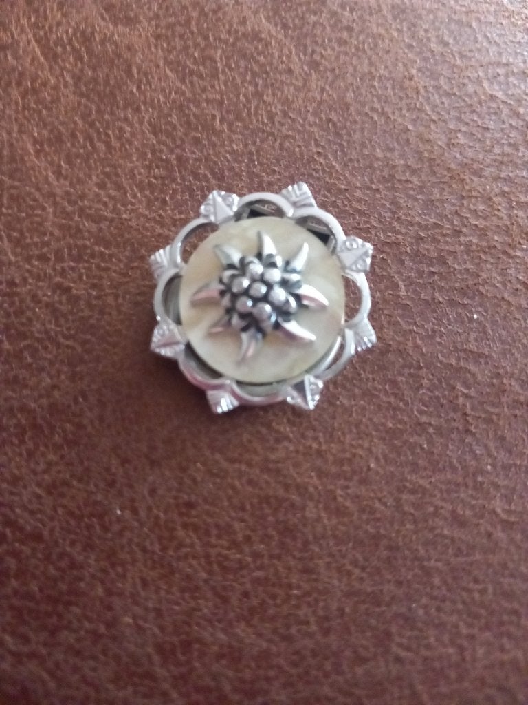 Sjaalclip, Ophalen of Verzenden, Zo goed als nieuw, Zilver, Overige materialen