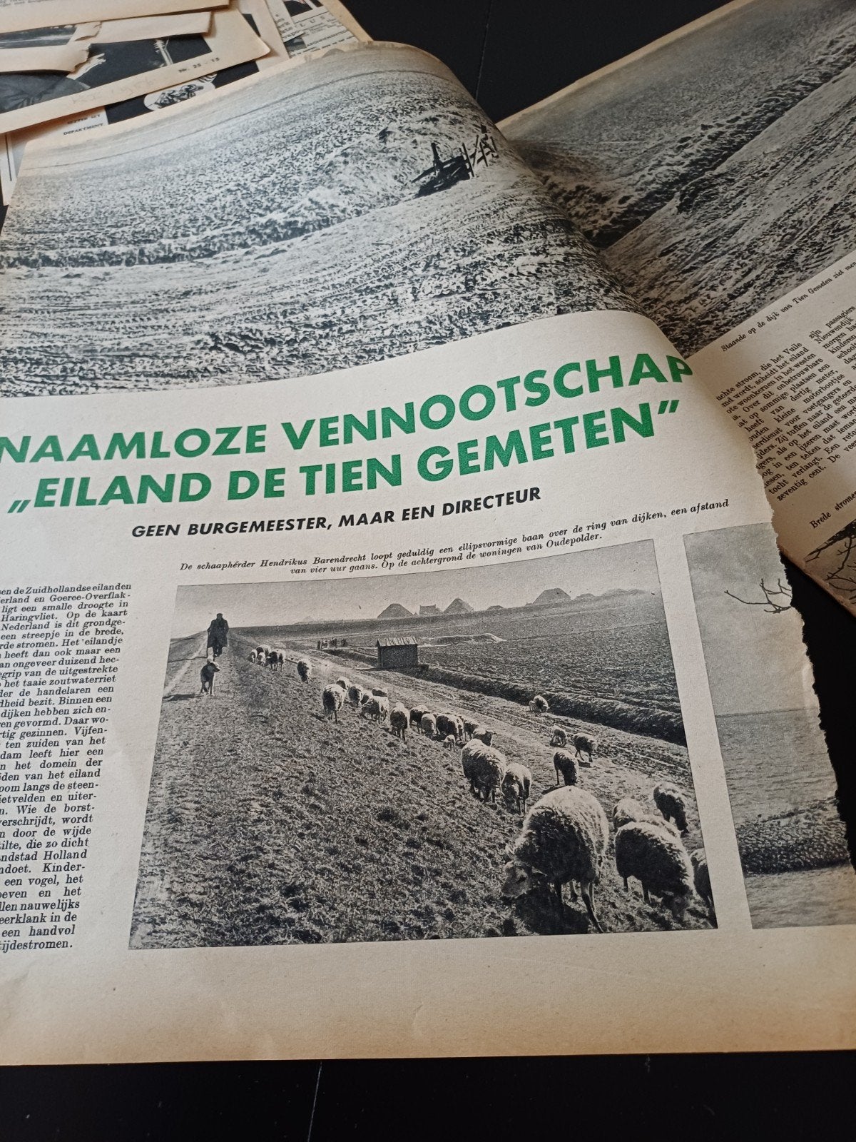 artikel nv de tiengemeten 1956, Ophalen of Verzenden, 1940 tot 1960, Knipsel(s)
