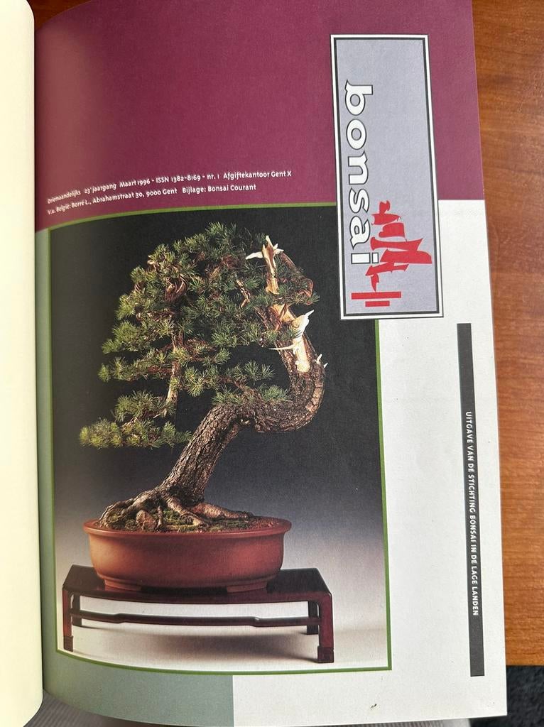 Bonsai in de lage landen ingebonden 1996, Boeken, Ophalen of Verzenden, Gelezen, Wetenschap en Natuur