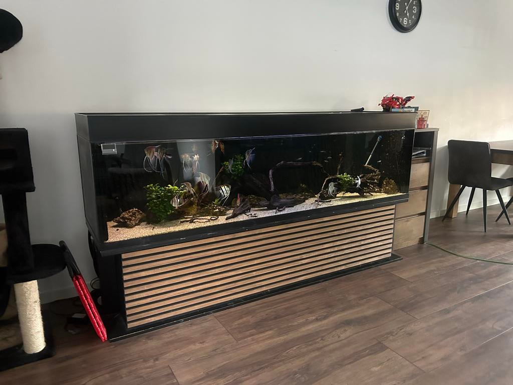 Groot Aquarium, Dieren en Toebehoren, Vissen | Aquaria en Toebehoren, Gebruikt, Gevuld zoetwateraquarium, App-bediening, Inclusief controller