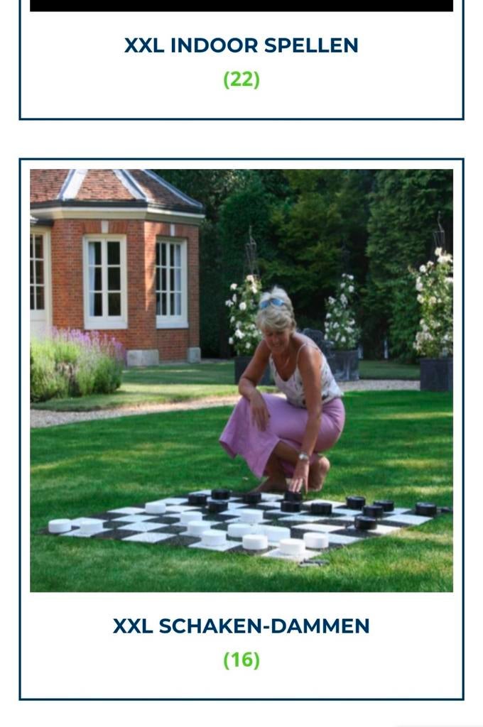XXL Schaken-Dammen Spellen koningsdag .nl, Een of twee spelers, Ophalen of Verzenden, Nieuw, Onbekend