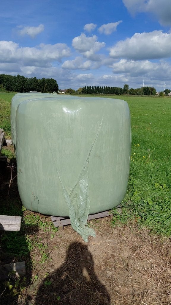 Mooie hooibalen te koop, Ophalen, Vee
