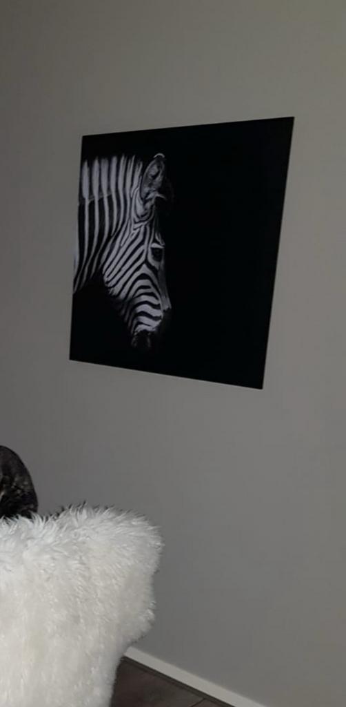 Zebra wanddecoratie, Ophalen