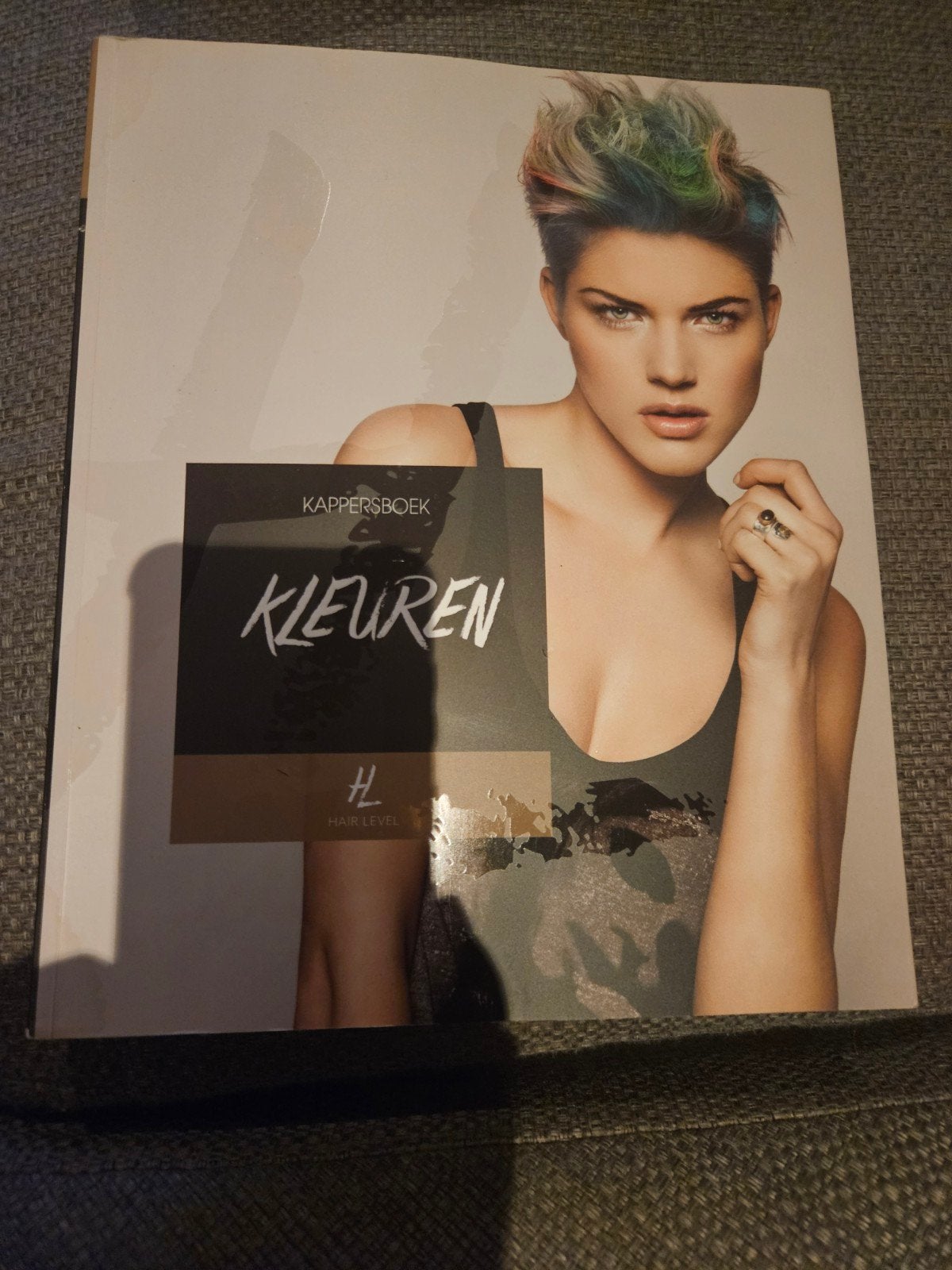 Kappersboek Kleuren - Haar Level (ISBN: 9789491277597), Ophalen of Verzenden, Gelezen, MBO, Visavi