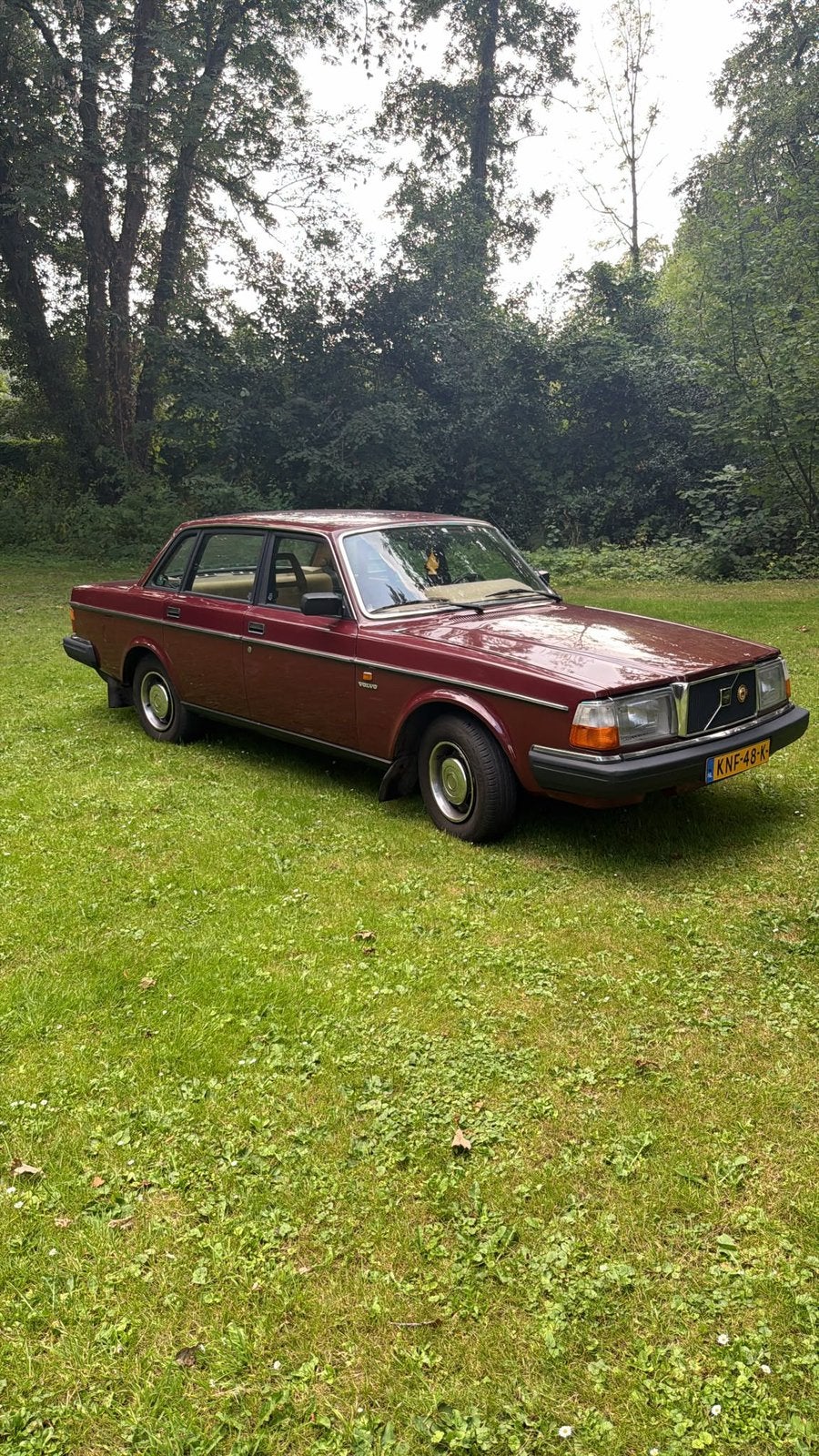 Volvo 244 diesel 1984  bordeaux Rood belastingvrij, Auto's, 83 pk, Diesel, 3283 cc, Particulier