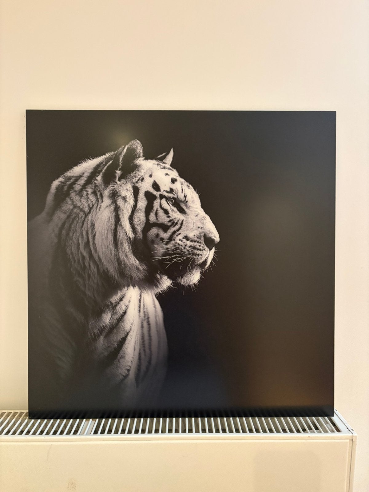 YELLOWKORNER - white tiger - original, 50 – 75, Oorspronkelijke maker, Overige typen, Nieuw