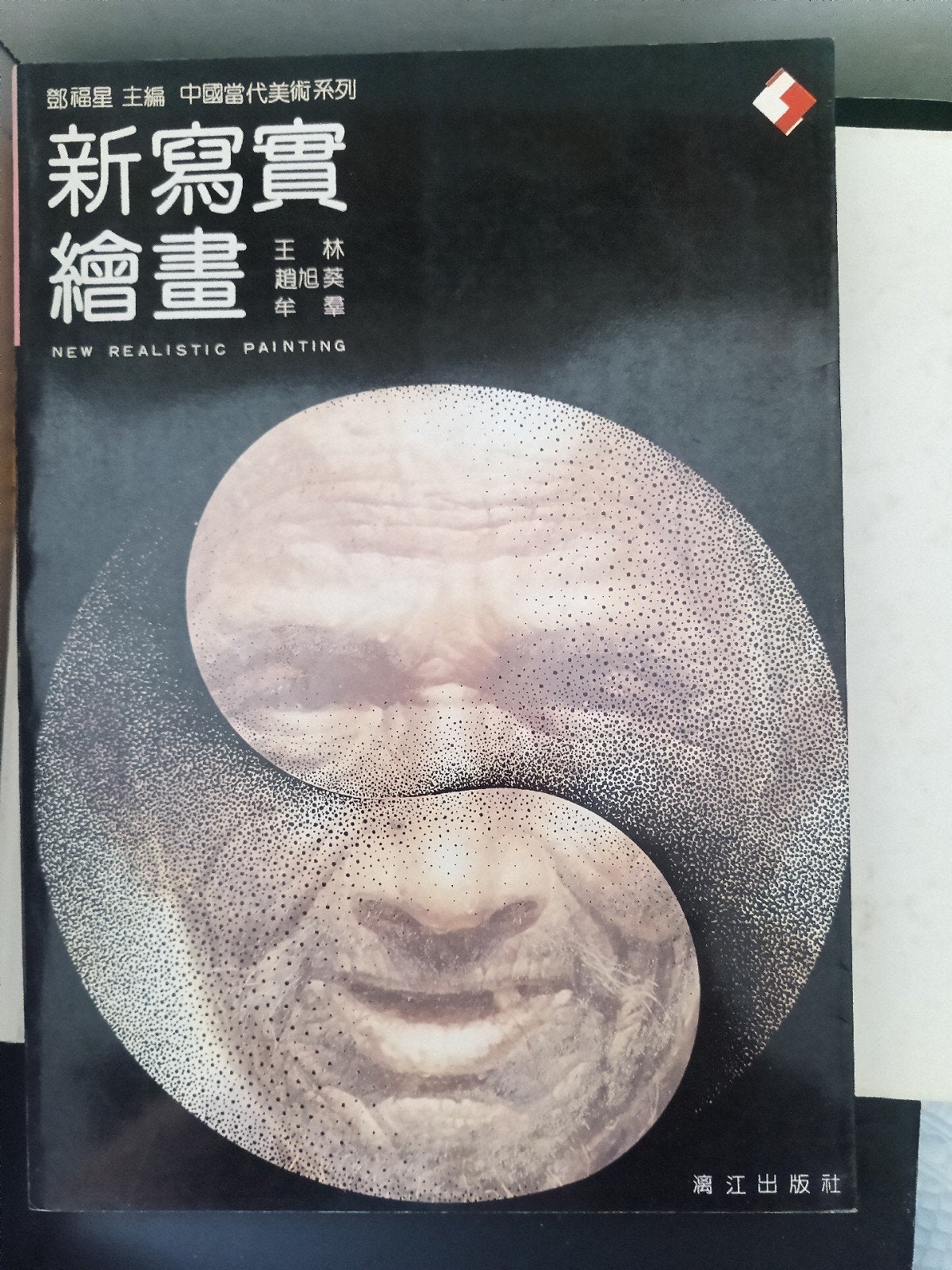 Chinese hedendaagse kunst, Boeken, Kunst en Cultuur | Beeldend, Ophalen of Verzenden
