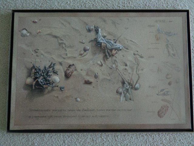 Schilderij Strandcompositie, afval door mens,dier en plant, Antiek en Kunst, Ophalen