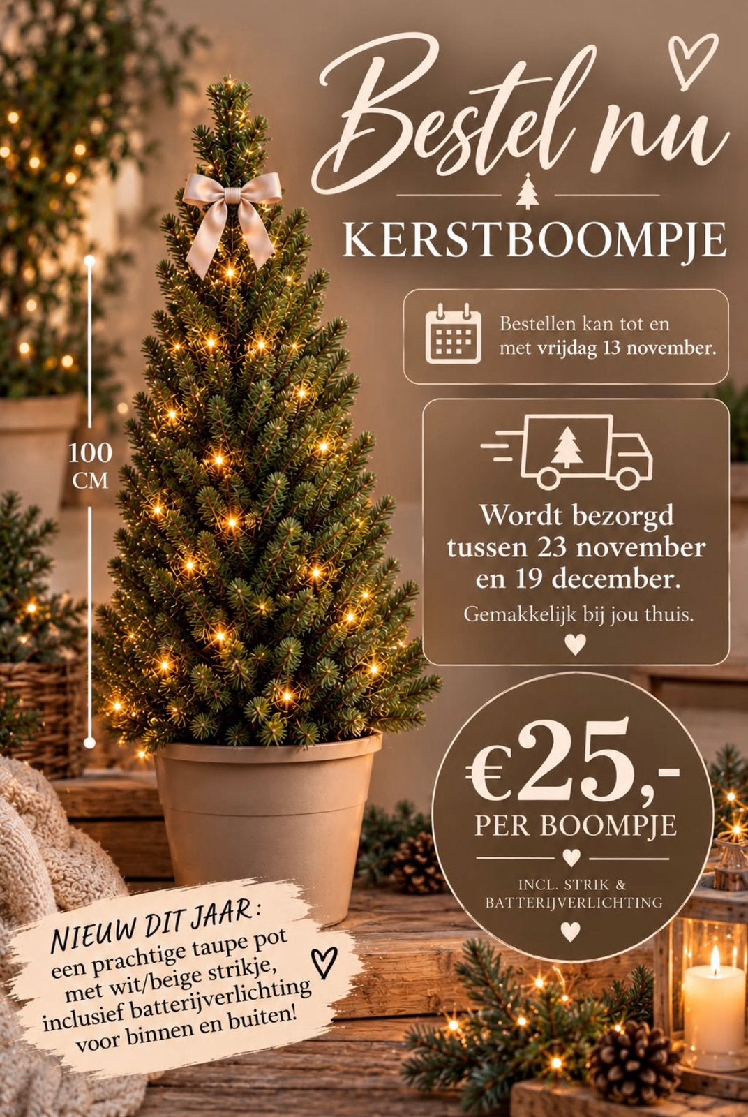 Echte kerstboom in pot, met licht en strik, Ophalen, Nieuw