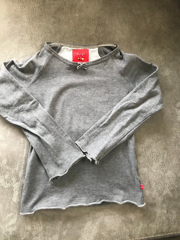 zgan nette longsleeve grijs bengh per principesse 110/116, Meisje, Ophalen of Verzenden, Zo goed als nieuw, Shirt of Longsleeve