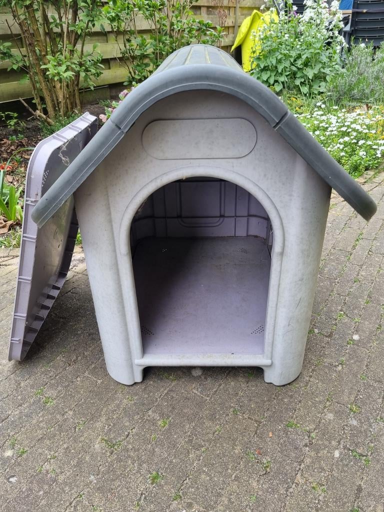 Honden/dieren buitenhok, zie de maten op de foto., Dieren en Toebehoren, Ophalen, Gebruikt, 65 tot 100 cm, Minder dan 75 cm