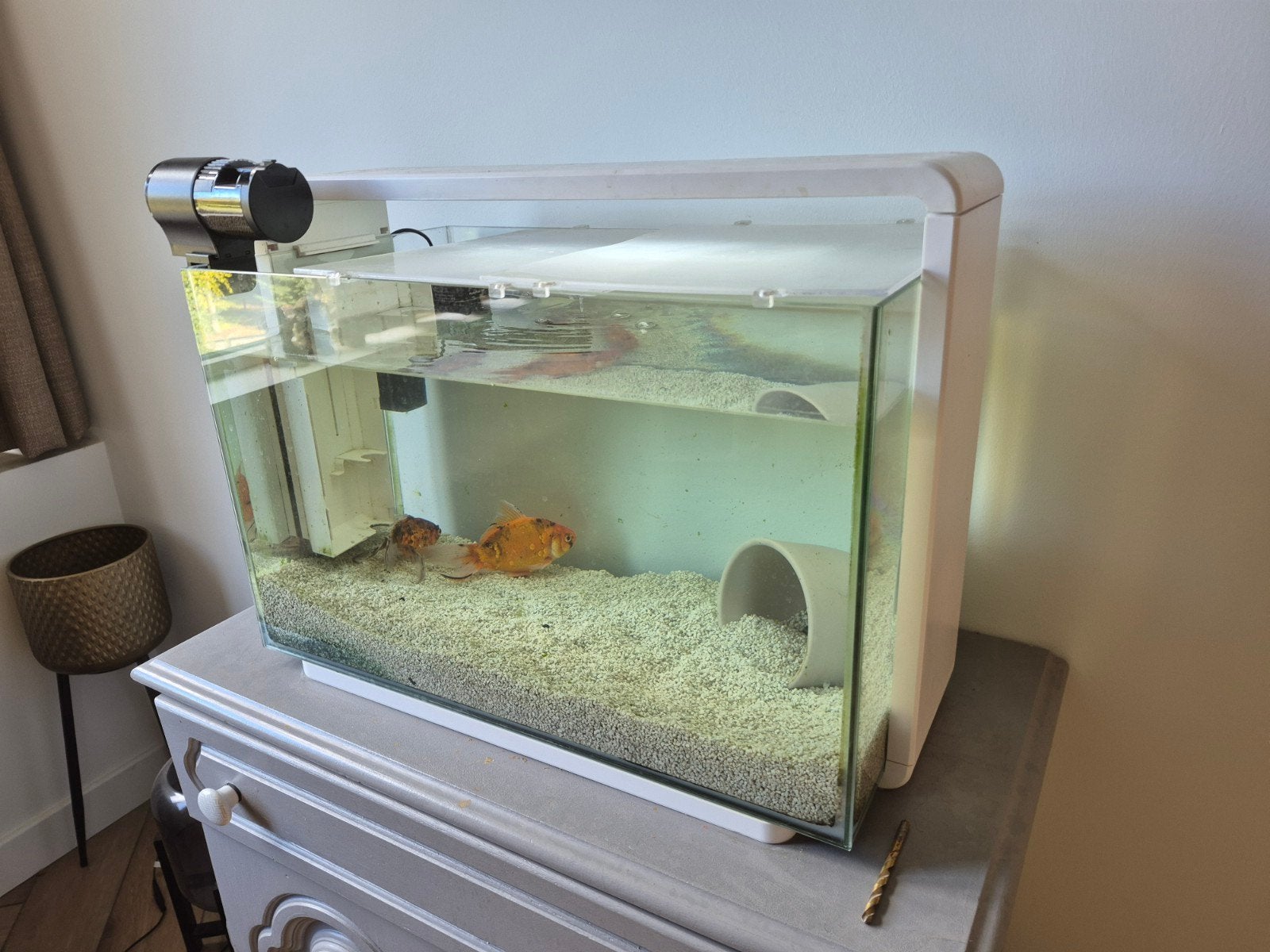 aquarium met goudvissen, Ophalen of Verzenden, Leeg aquarium