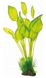 sf art plant 40 cm echinodorus €10,75, ., Overige typen, Nieuw, Ophalen of Verzenden