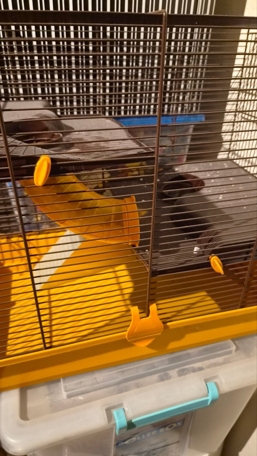 Hamster hok, Minder dan 60 cm, Minder dan 75 cm, Ophalen of Verzenden, Hok