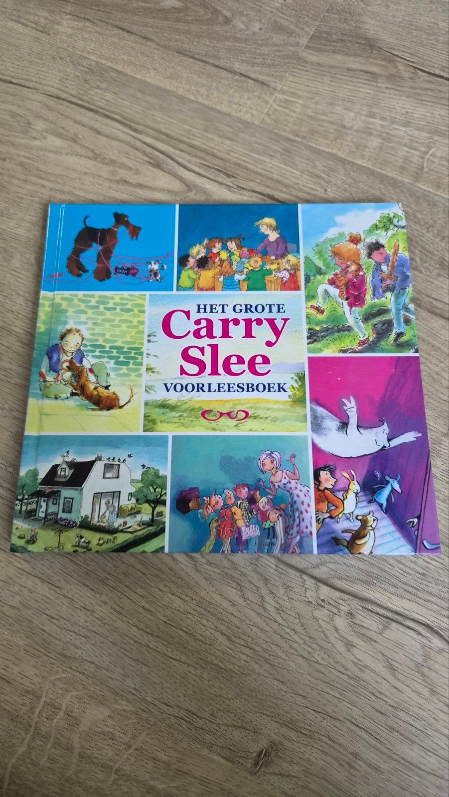 Het Grote Carry Slee Voorleesboek - Diverse Verhalen, Ophalen of Verzenden, Zo goed als nieuw, Carry Slee, Fictie algemeen