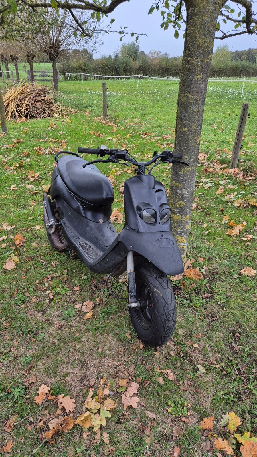 peugot squab 70cc, Ophalen, Gebruikt, Overige modellen, Maximaal 45 km/u