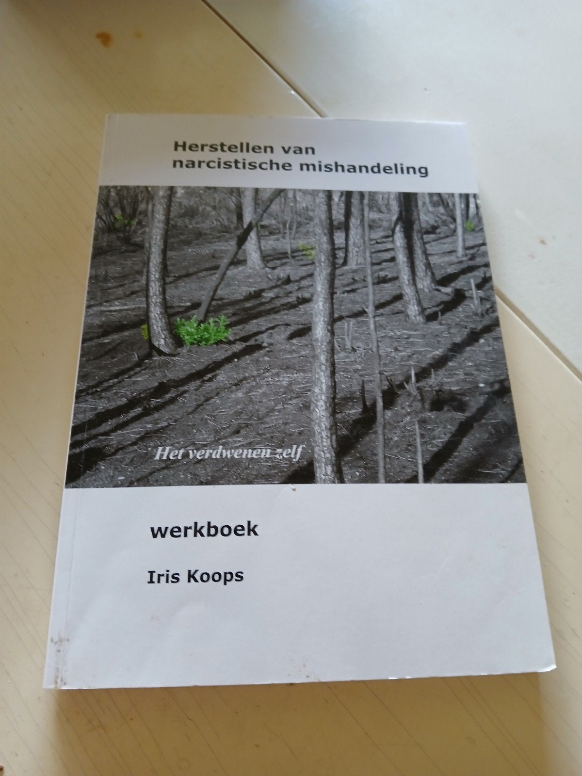 Iris Koops - Werkboek, Ophalen of Verzenden, Zo goed als nieuw, Iris Koops