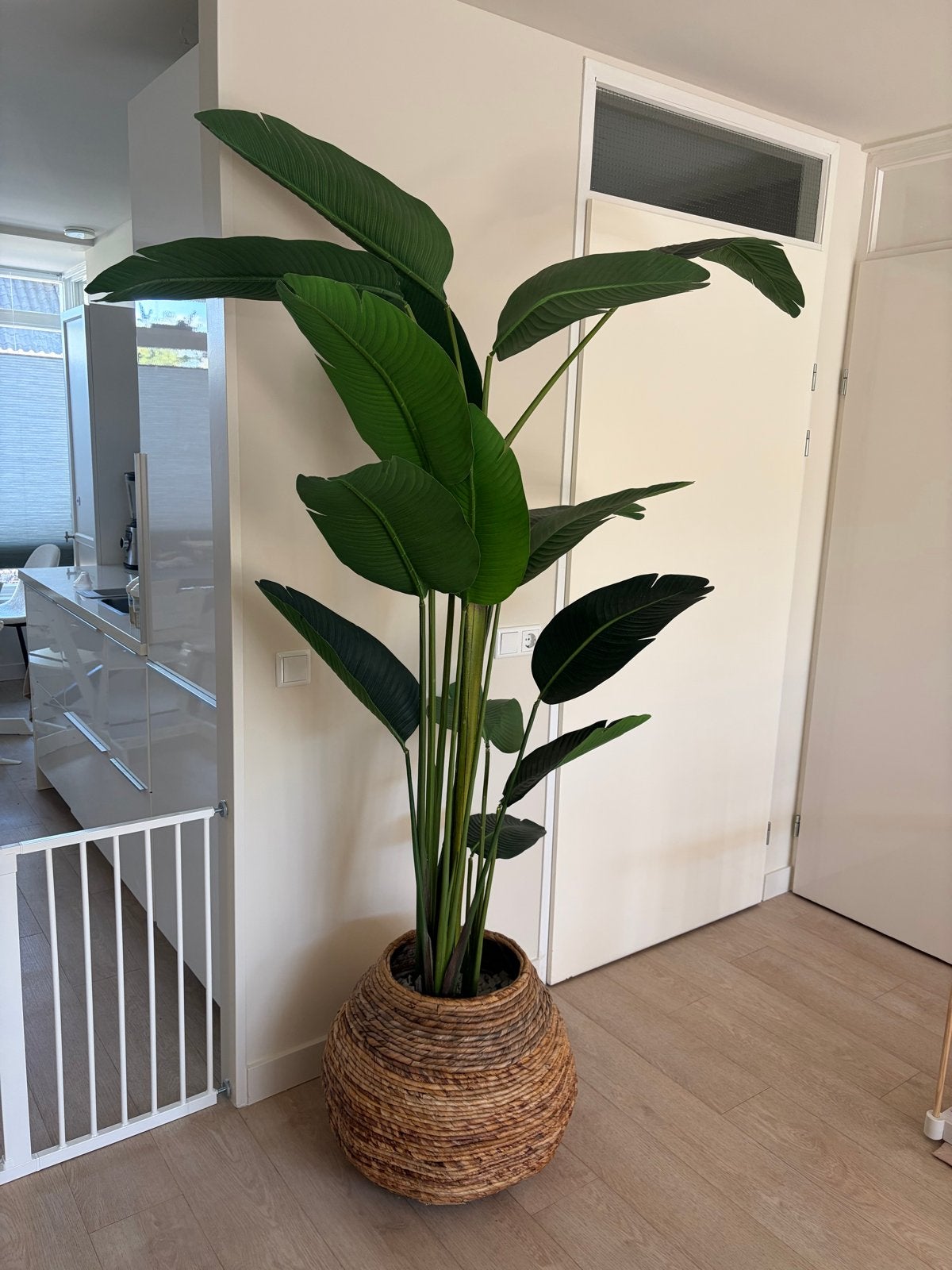 Grote kunstplant in rieten pot, Ophalen, 200 cm of meer, Overige soorten, Halfschaduw