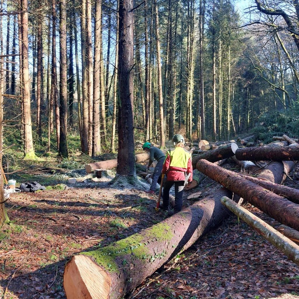 Bomen rooien, bosmaaien, tuinman & terreinbeheer, Garantie, Tuinonderhoud of Snoeiwerk