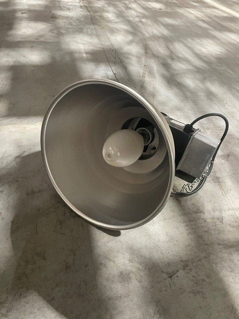 Lampen, Gebruikt, 60 watt of meer, E27 (groot), Ophalen