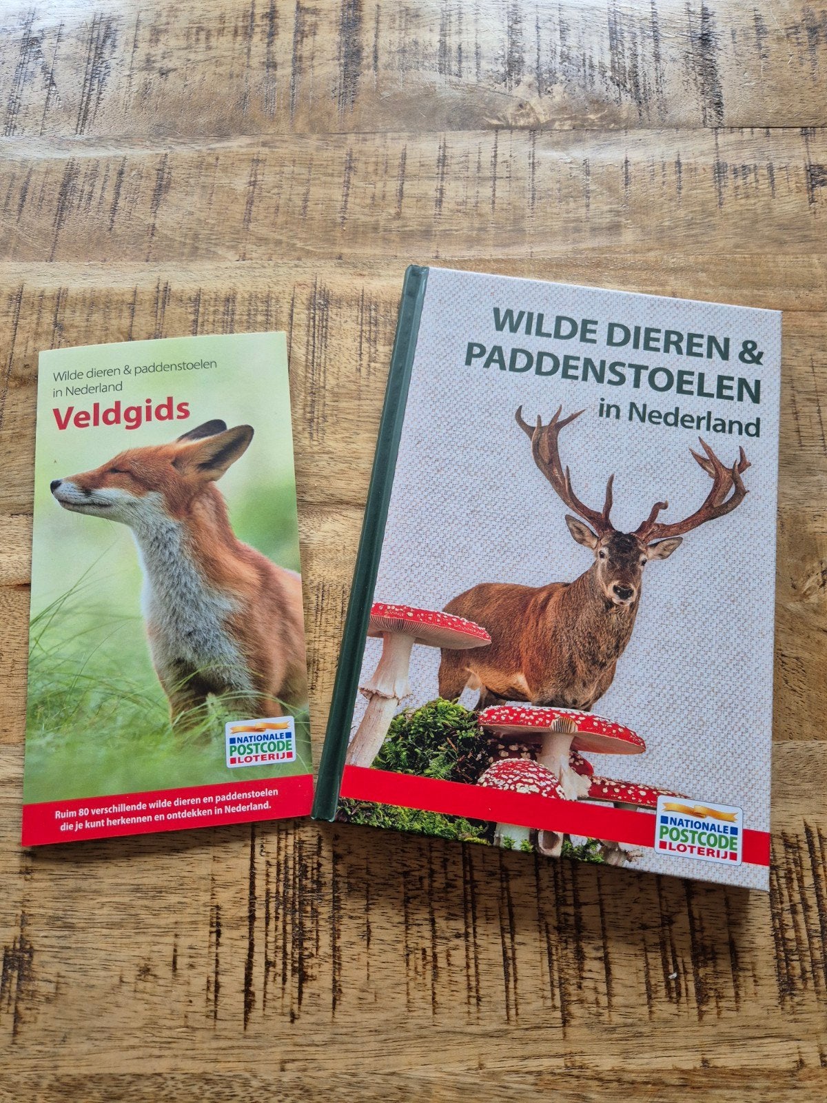 Wilde Dieren & Paddestoelen in Nederland met veldgids, Boeken, Ophalen of Verzenden, Nieuw, Natuur algemeen