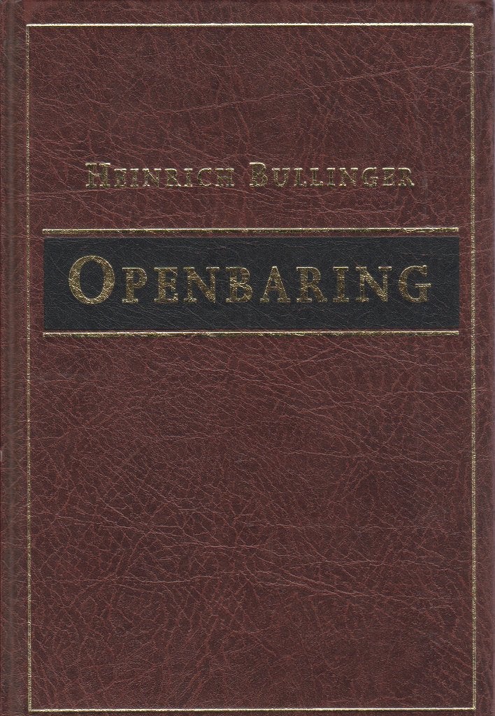 HEINRICH BULLINGER - VERKLARING OPENBARING - DEEL 2, Boeken, Ophalen of Verzenden, Gelezen