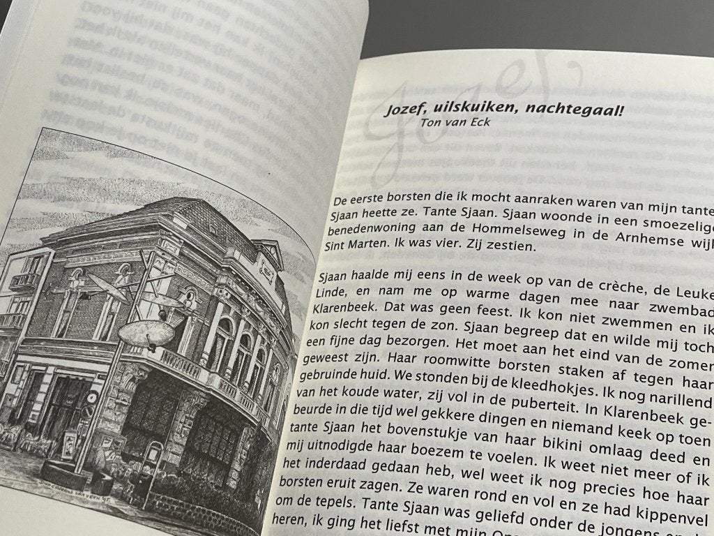 Arnhem met een scheve blik  (Nieuw), Boeken, Geschiedenis | Stad en Regio, Ophalen of Verzenden, Nieuw
