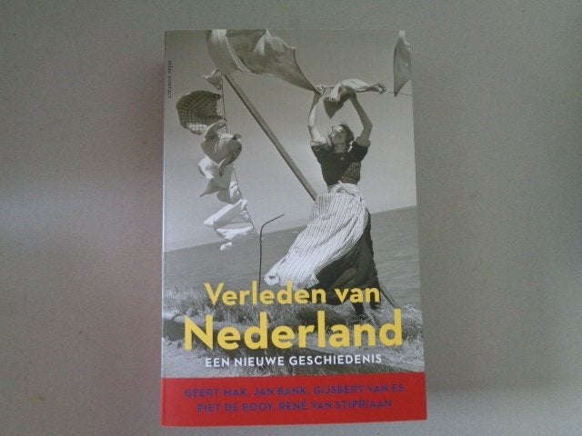 Verleden van Nederland - Een nieuwe geschiedenis / Geert Mak, Boeken, Geschiedenis | Vaderland, Zo goed als nieuw, 20e eeuw of later