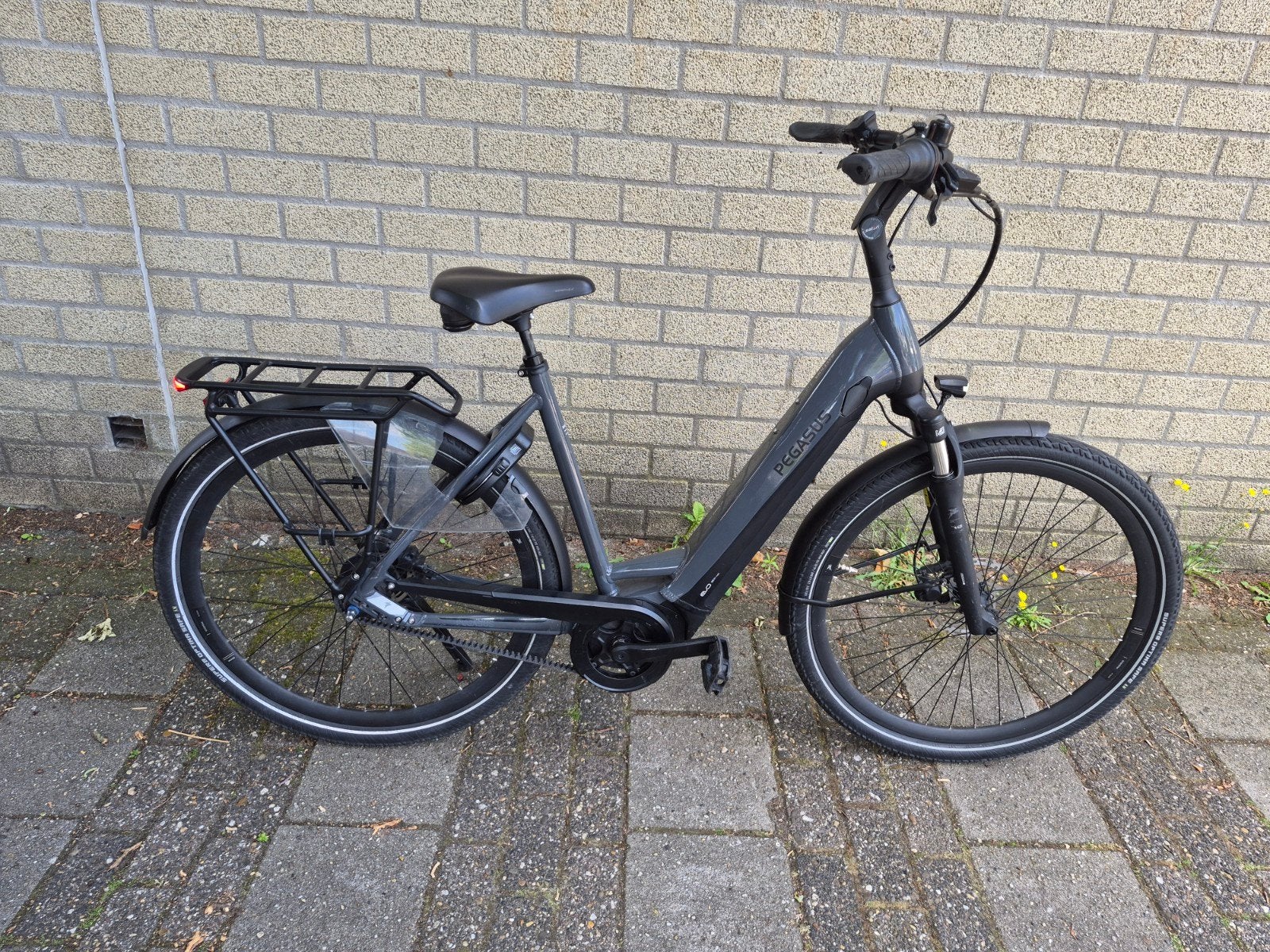 Pegasus Ravenna EVO 8F Belt E-bike - Bosch Active Line Plus, Fietsen en Brommers, Elektrische fietsen, 59 cm of meer, Ophalen