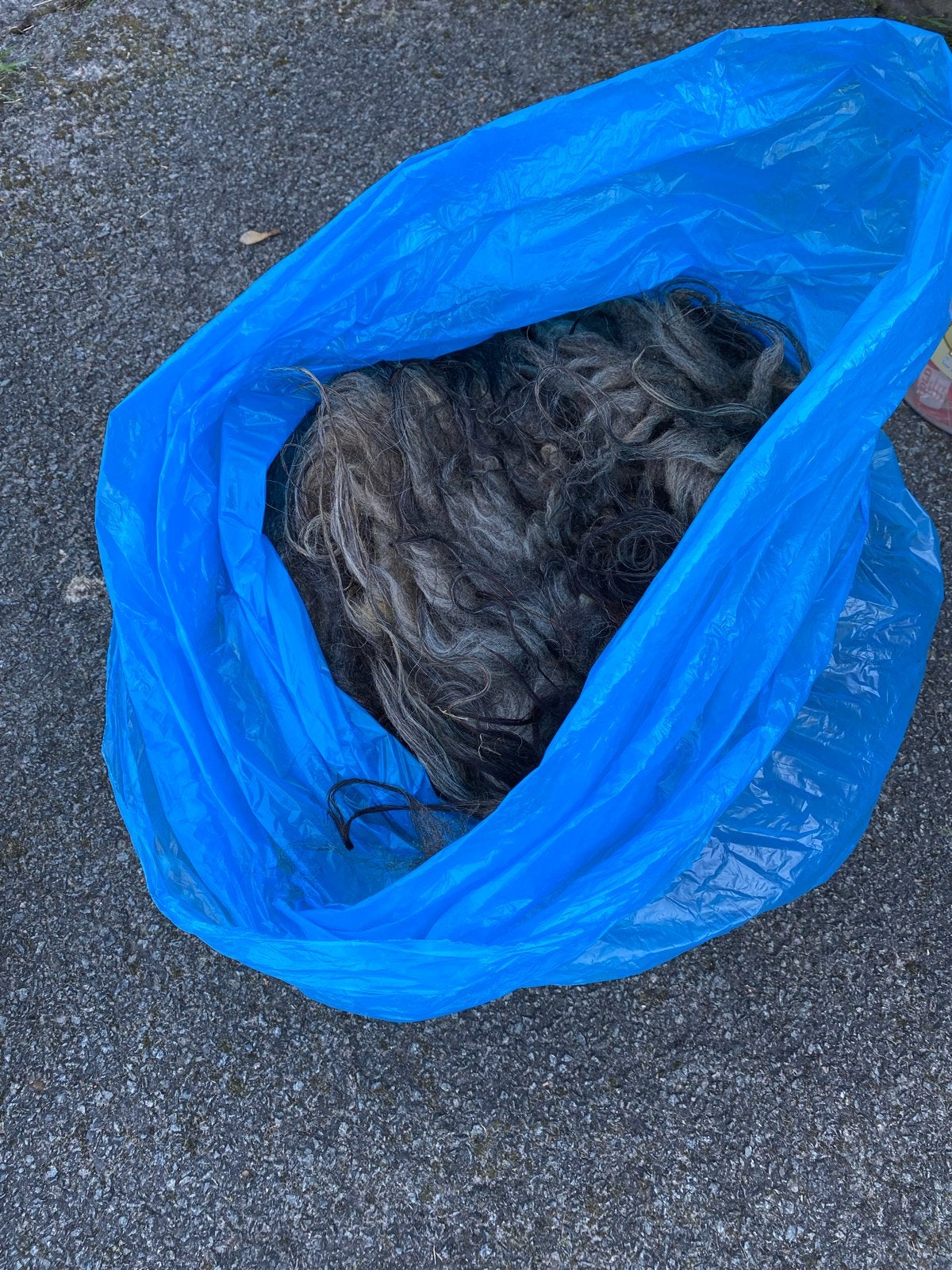 Heidesnuck schapenwol om te vilten - peper & zout, beige, Ophalen of Verzenden, Nieuw, Overige typen