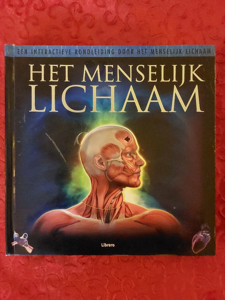 Pop-up boek Het menselijk lichaam NED Hardcover, Ophalen of Verzenden, Zo goed als nieuw, Plaatjesalbum