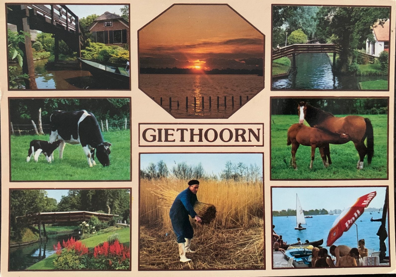 Giethoorn., Ophalen of Verzenden, Gelopen, Overijssel