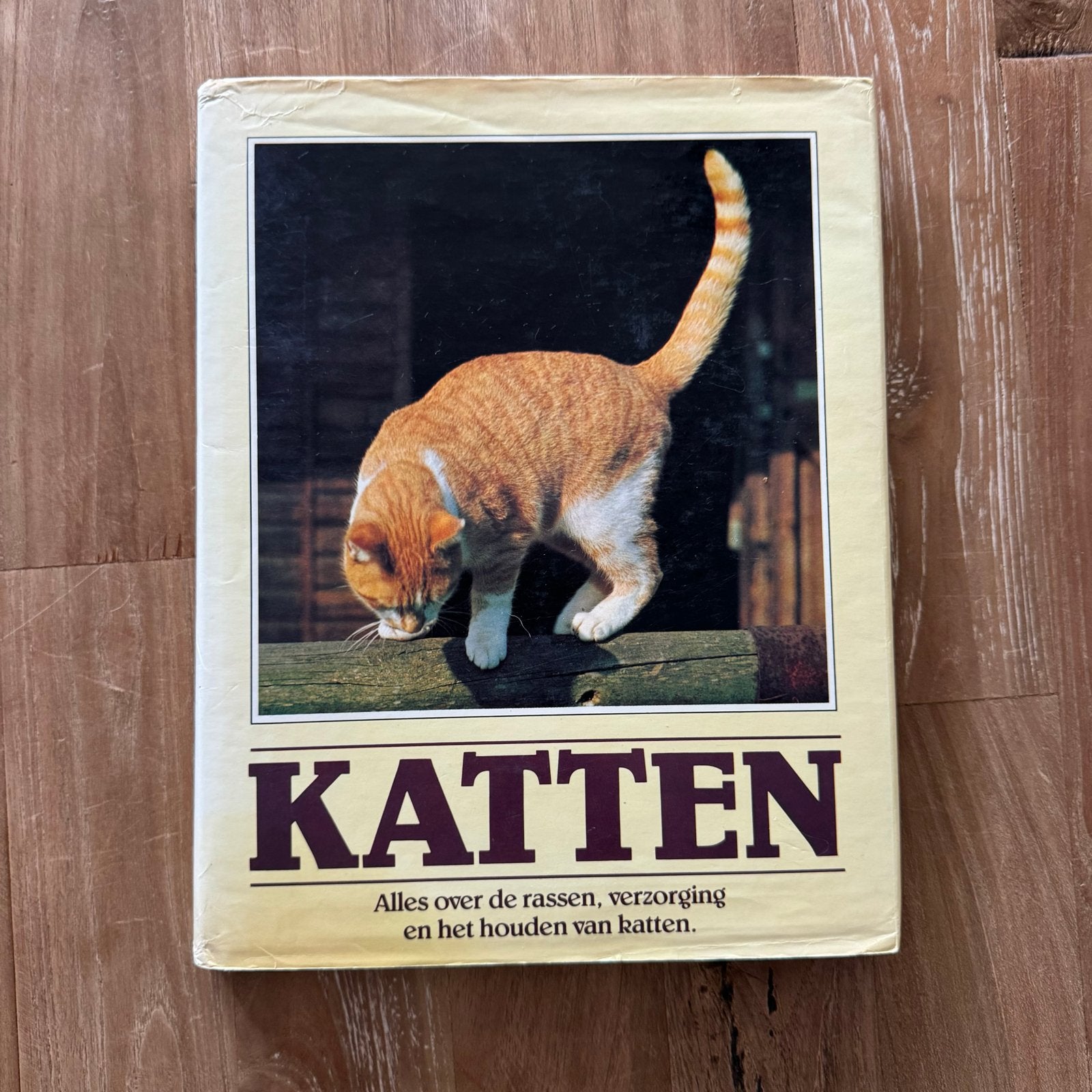 Boek: Katten - Alles over rassen, verzorging en houden, Ophalen of Verzenden, Gelezen, Katten