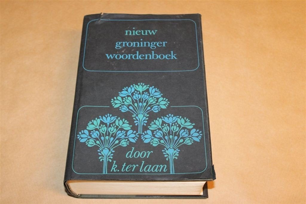 Nieuw Groninger Woordenboek — K. ter Laan — Dijkstra, Ophalen of Verzenden, Gelezen