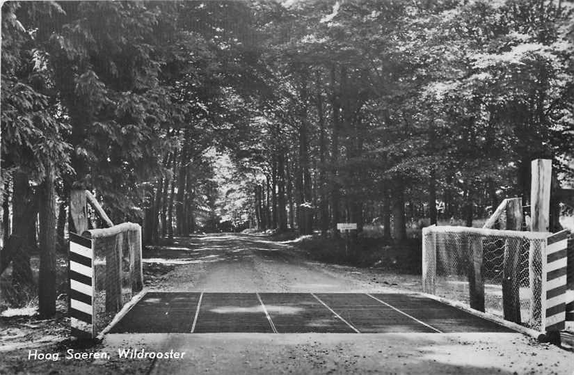 300-271-043 Hoog Soeren Wildrooster, Verzenden, Voor 1920, Gelderland