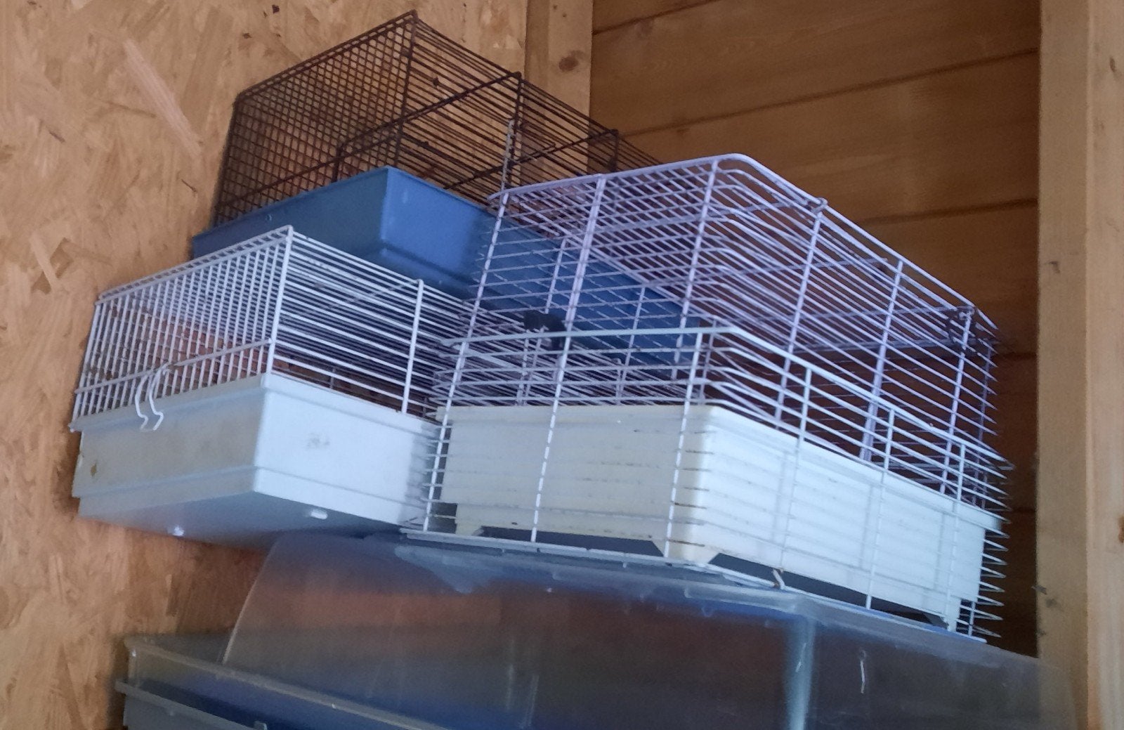 Allerlei dieren hokjes, Minder dan 60 cm, Rat, Minder dan 75 cm, Ophalen of Verzenden