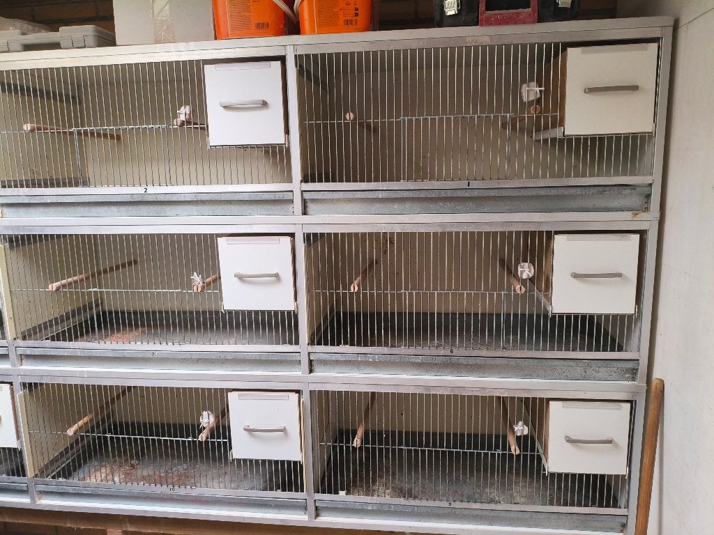 Broedkooien van Keulen, Dieren en Toebehoren, Vogels | Hokken en Kooien, Ophalen, Gebruikt, Hout, Broedkooi of Kweekkooi