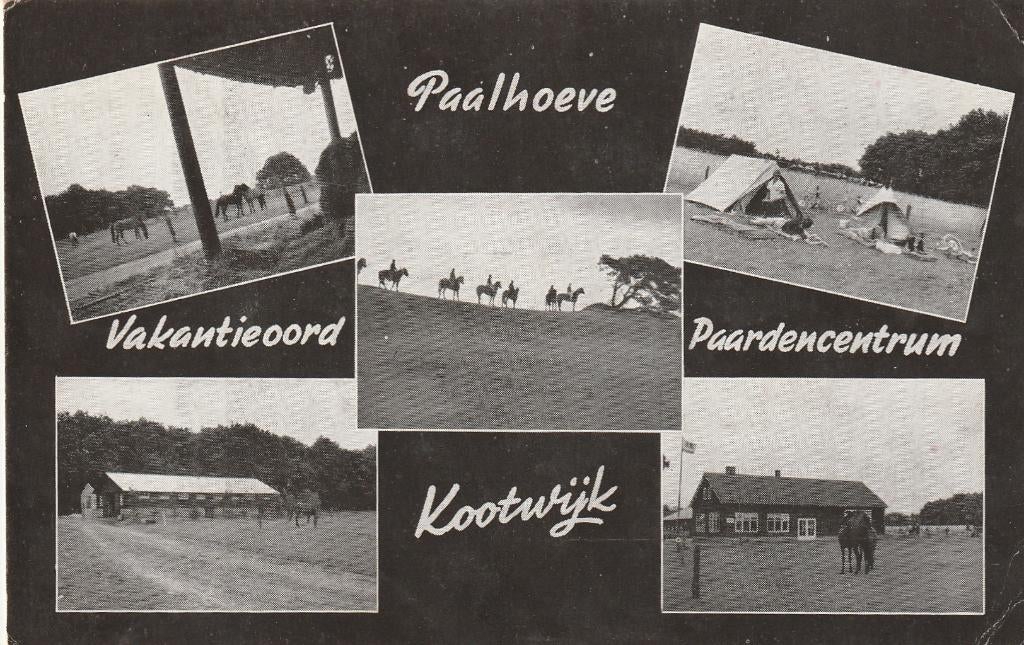 KOOTWIJK Paalhoeve Vakantieoord Paardencentrum, Verzenden, 1960 tot 1980, Gelopen, Gelderland
