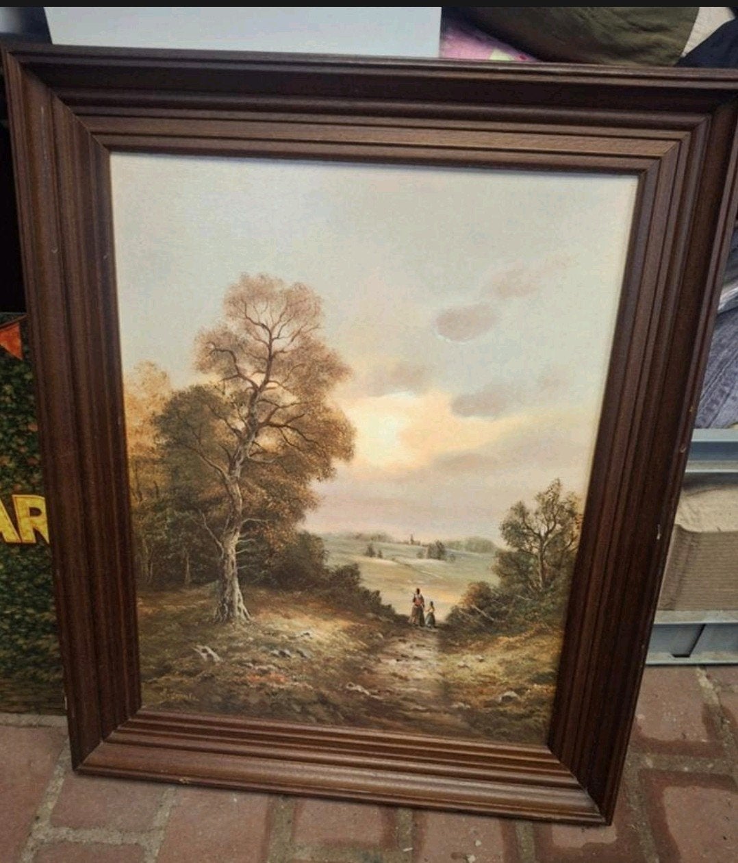 foto landschap in houten lijst, Ophalen, Zo goed als nieuw, 50 tot 75 cm, Schilderij