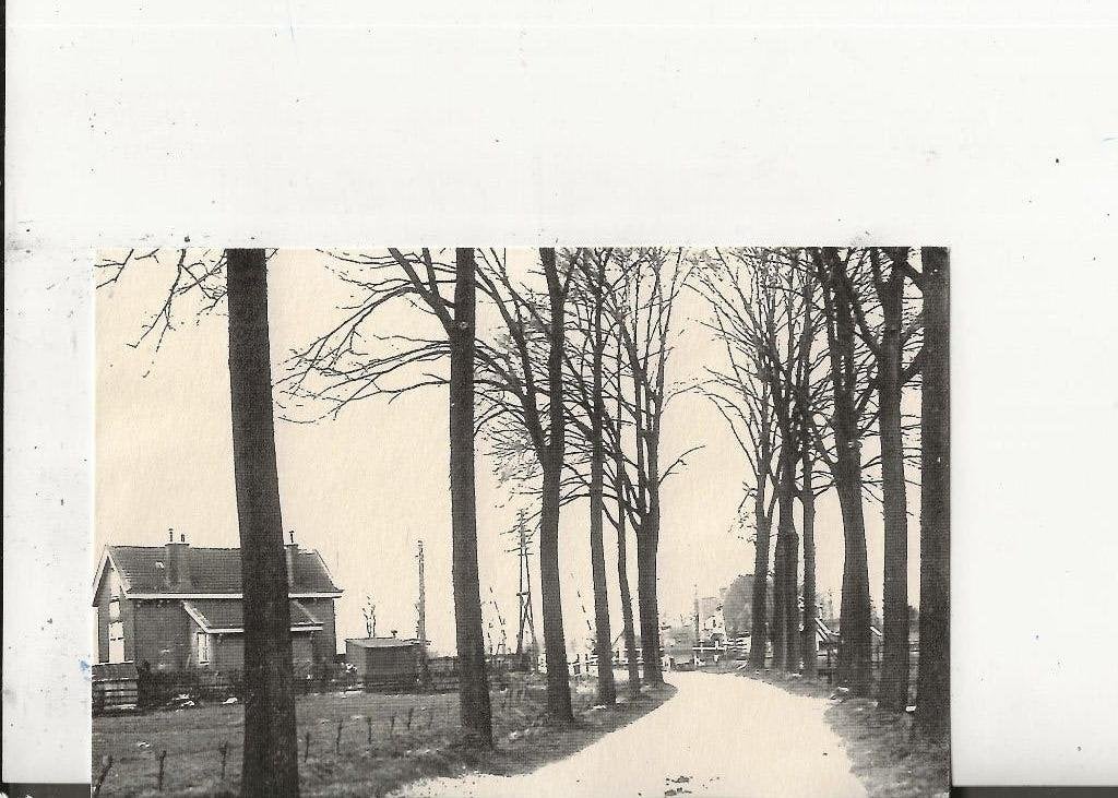 Dubbeldam Achterweg 1930, Ophalen of Verzenden, 1920 tot 1940, Ongelopen, Zuid-Holland
