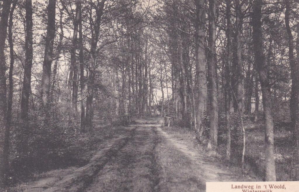 GA1742 Landweg in t Woold Winterswijk Gelderland Bredevoort, Verzenden, 1920 tot 1940, Ongelopen, Gelderland