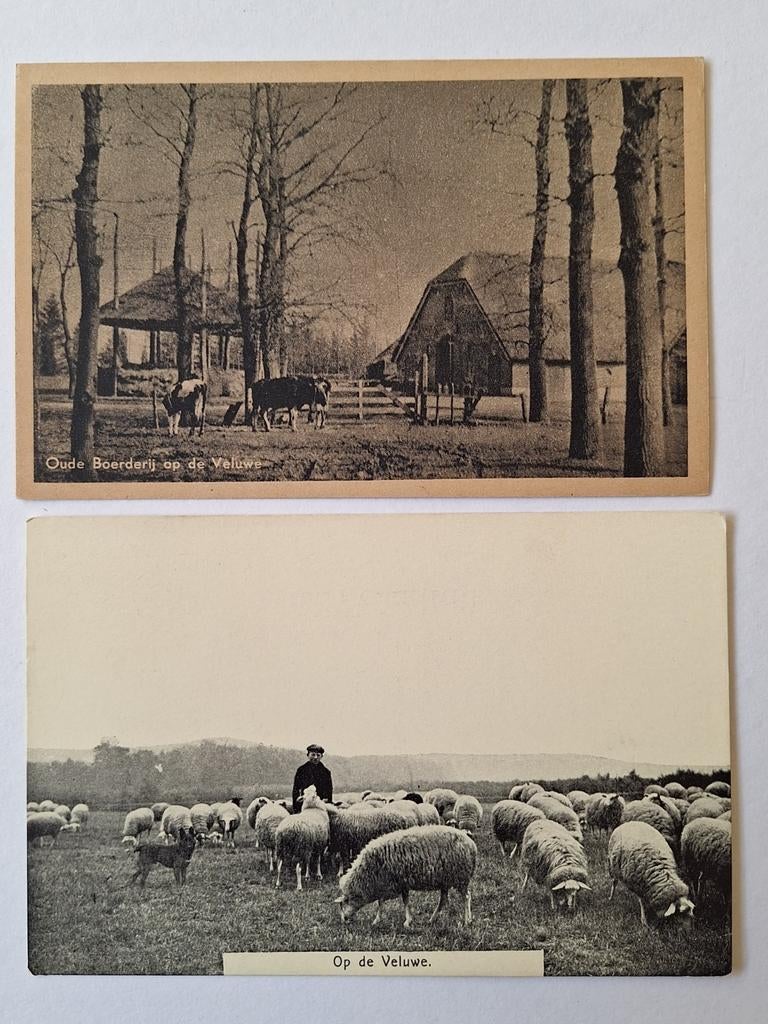 Veluwe 2, Ophalen of Verzenden, 1940 tot 1960, Gelderland