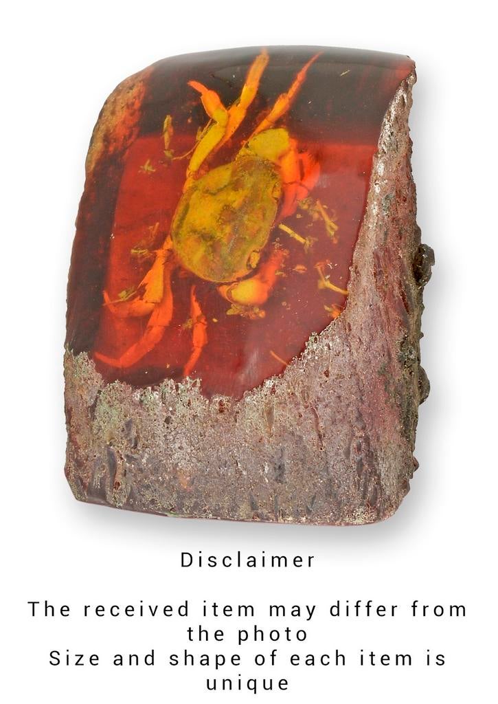Fossiele krab in amber, Verzamelen, Ophalen of Verzenden, Fossiel